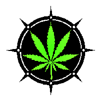 Picture for song 'The Rude One - Short Skit ( Diss To A Redneck )' by artist 'The Rude One'