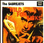 Picture for song 'Hard Rockin' Daddy' by artist 'The Sabrejets'