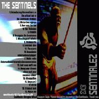 Picture for song '11 - Japanistan Outernational Airport' by artist 'The Sentinels'
