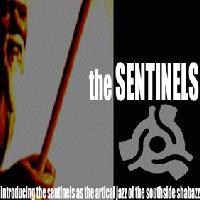 Picture for song '16 - Mic Scuffles' by artist 'The Sentinels'