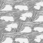 Picture for song 'The C.L.O.U.D. Movement (skeleton)' by artist 'The Serendipitous Cacophonies'