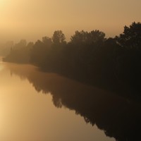 Picture for song 'The Gist' by artist 'The Serendipitous Cacophonies'