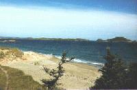 Picture for song 'Oceana' by artist 'The Shane Walsh Sound'