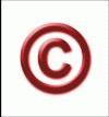 Picture for song 'Copyright Infringement' by artist 'the shrubs'