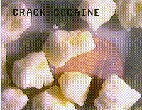 Picture for song 'crackhead' by artist 'the shrubs'