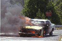 Picture for song 'Driving My Car' by artist 'the shrubs'