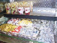 Picture for song 'Plastic Tune' by artist 'the shrubs'