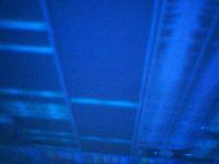 Picture for song 'Dude, You Scratched My CD!' by artist 'The SilenceXperiment'