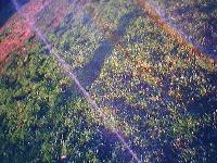 Picture for song 'My Addiction' by artist 'The SilenceXperiment'