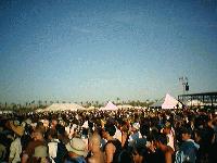 Picture for song 'PEEP L' by artist 'The SilenceXperiment'