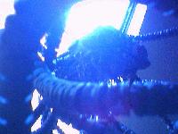 Picture for song 'Sloppy Tekno' by artist 'The SilenceXperiment'