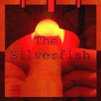 Picture for song 'Lately' by artist 'The Silverfish'
