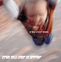 Picture for song 'Sgt. Pepper vs. Endless Summer' by artist 'The Silver Surfer'