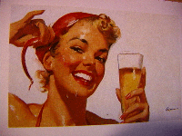 Picture for song 'Victim of the System' by artist 'The Skipped'