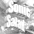 Picture for song 'The Ice Skaters' by artist 'The Sonic Salad'