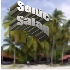 Picture for song 'Island Swing' by artist 'The Sonic Salad'