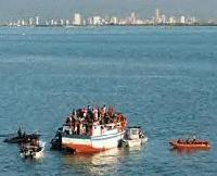 Picture for song 'The Shark Attack of Papa' by artist 'The Spaced Haitians'