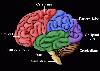 Picture for song 'BRAINWAVES' by artist 'The Specialists'