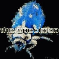 Picture for song 'A New Voice' by artist 'The Specimen'