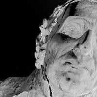 Picture for song 'I Didn't Think It Would Come Up (Again)' by artist 'The Spider Translator'