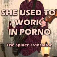 Picture for song 'She Used To Work In Porno' by artist 'The Spider Translator'