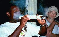 Picture for song 'The Hustlaz Anthem' by artist 'The Split Endz'