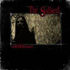 Picture for song 'The Devil's Own' by artist 'The Sullied'