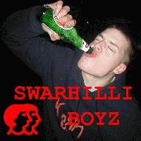 Picture for song 'SP Hi-Fin (ALBUM VERSION)' by artist 'The Swarhili Boyz'