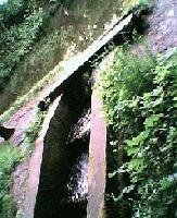 Picture for song 'the walk(demo)' by artist 'The Symmetry'