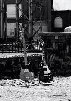 Picture for song 'I'll Never Forget Old What's Her Name' by artist 'The Tail Gators'