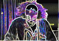 Picture for song 'KINGS OF FILTH' by artist 'The Terminal Generation'