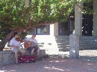 Picture for song 'Coming Home' by artist 'The Thirsty Turtles'