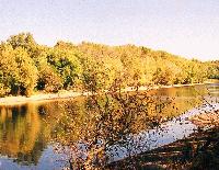 Picture for song 'The Ol' Mississippi' by artist 'The Three Yeehaws'