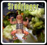Picture for song 'Studfinger' by artist 'The Tom Bosley Experience'