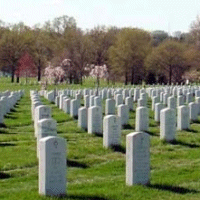 Picture for song 'Killed In Action' by artist 'The Transient'