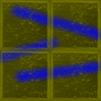 Picture for song 'Mitch' by artist 'The Transient'