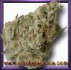 Picture for song 'HIGHLY recomended' by artist 'THE TRUTH AKA MINDSTATEZ'