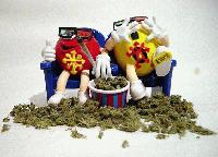 Picture for song 'Salad Days' by artist 'THE ULTIMATE MONKEY PROJECT'