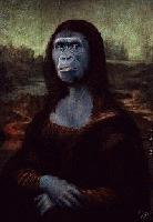 Picture for song 'NEGITIVITY PROXIMITY' by artist 'THE ULTIMATE MONKEY PROJECT'