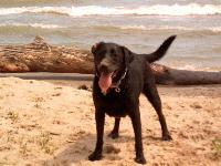 Picture for song 'Special' by artist 'The Ultimate Something'