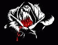 Picture for song 'Kissing The Edge' by artist 'The Undefined'
