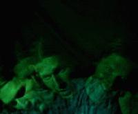 Picture for song 'Matchbox' by artist 'The Unhappies'