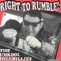 Picture for song 'Hillybilly Party' by artist 'The Unkool Hillbillies'