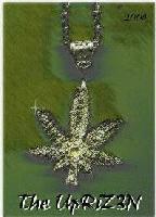 Picture for song 'You Got Jokes' by artist 'The UpRiZ3N'