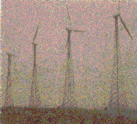 Picture for song 'Cloudy Day' by artist 'The Usuals'
