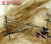 Picture for song 'Take Comfort In Strangers' by artist 'The Valley Arena'