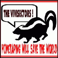 Picture for song 'scary song' by artist 'the vivisectors'