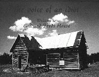 Picture for song 'The Begining Is The End' by artist 'The Voice Of An Idiot'