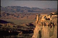 Picture for song 'The Dezert of Life' by artist 'The Vultures'