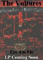 Picture for song 'Your Name Here' by artist 'The Vultures'